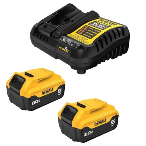 DEWALT 20V MAX Lithium-Ion Battery 2-Pack, 5.0 Ah (DCB205-2c)